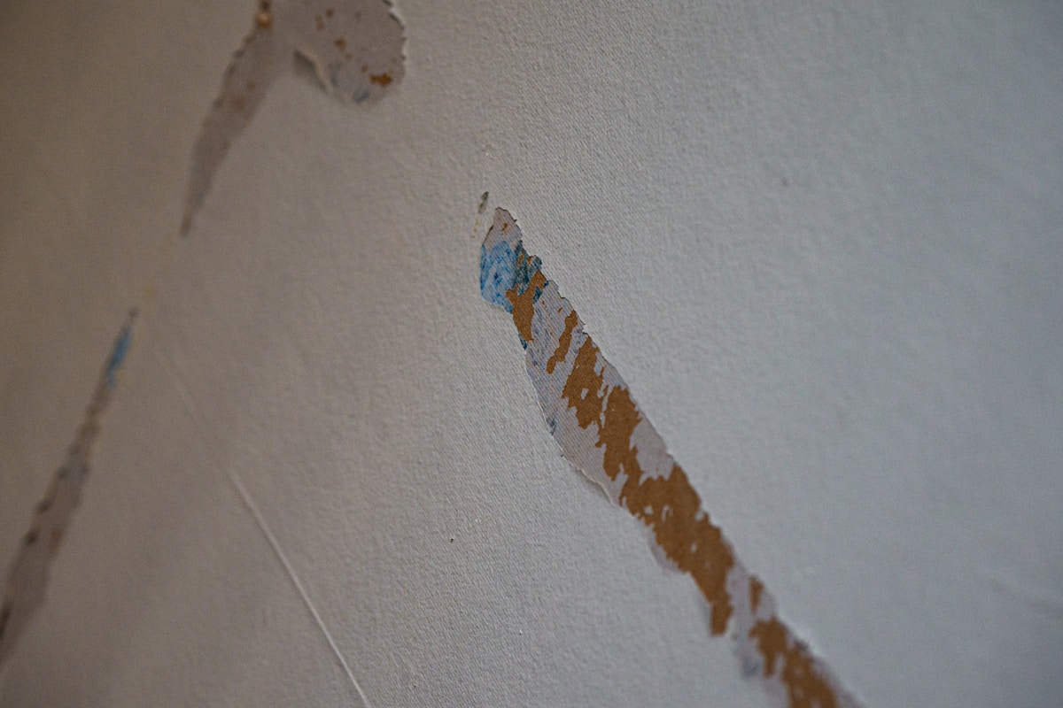 Mold Remediation service in Turlock, CA